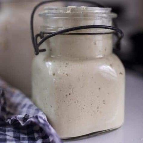 Gluten Free Sourdough Starter - Farmhouse on Boone Sourdough Starter From Scratch, Gluten Free Sourdough Starter, Farmhouse On Boone, Sourdough Rolls, Sourdough Pancakes, Gluten Free Sourdough, Wild Yeast, Types Of Flour, King Arthur Flour