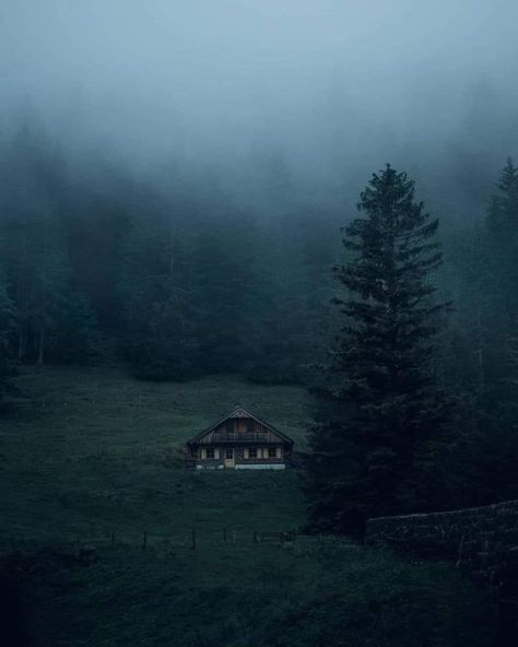 Cozy Cabin Aesthetic, Nature Film, Dark Naturalism, Dark Mountains, Cabin Aesthetic, Dark Nature Aesthetic, Dark Paradise, Forest House, Cool Pictures Of Nature