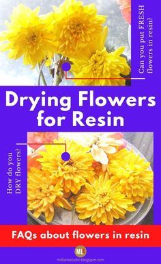 Drying Flowers For Resin, How To Epoxy Flowers, Preserving Flowers In Resin, How To Preserve Flowers In Resin, Epoxy Flowers, Diy Resin Flowers, Resin Spray, Drying Flowers, Flowers In Resin