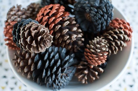 Pine Cones Dyed Pinecones, How To Make Dip, Silver Christmas Decorations, Fall Wedding Centerpieces, Wedding Favors Fall, Cones Crafts, Christian Movies, Pine Cone Crafts, Dip Dyed