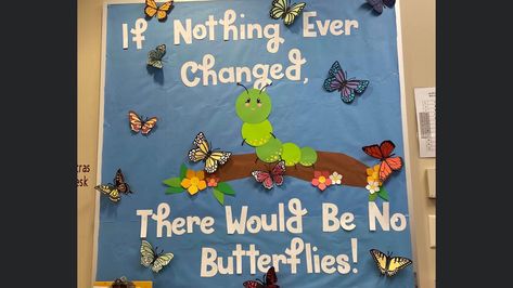 Butterfly Classroom Door Ideas, Monarch Butterfly Bulletin Board, Cricut Bulletin Board Ideas, Butterfly Bulletin Board Ideas, May Bulletin Boards, June Bulletin Board Ideas, May Bulletin Board Ideas, August Bulletin Board Ideas, April Bulletin Board Ideas