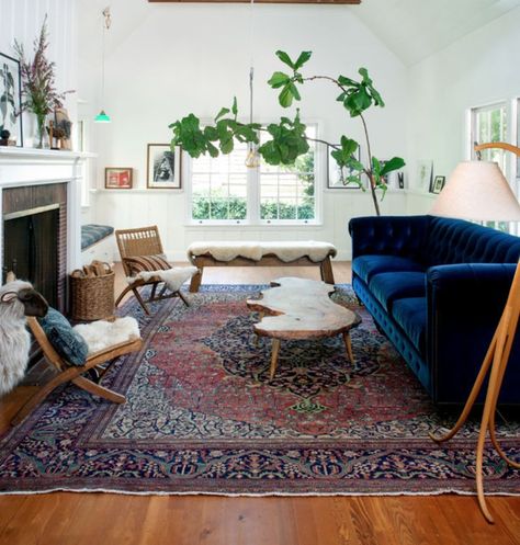 Like oriental rug, plant, and blue couch from Anthropologie. Blue Couch Living, Apartment Livingroom, Green Sofa Living, Blue Couch Living Room, Green Sofa Living Room, Blue Couch, Blue Couches, Apartment Decorating, Livingroom Layout