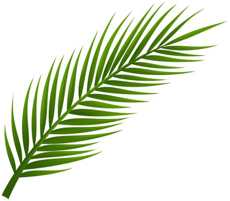 Palm Tree Clip Art, Palm Tree Leaf, Palm Frond Art, Palm Branch, Palm Tree Tattoo, Palm Tree Leaves, Leaf Clipart, Paper Plants, Leaf Template