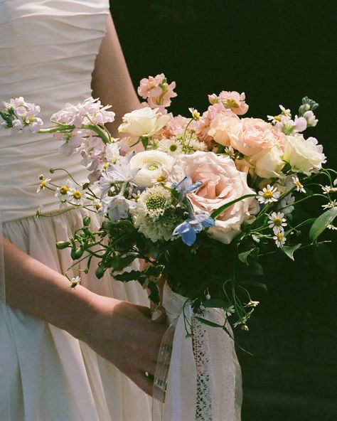 Bridal portraits of the perfect human @carlyporter7 on 35mm film Perfect Human, 35mm Film, Bridal Portraits, Human, Film, Quick Saves