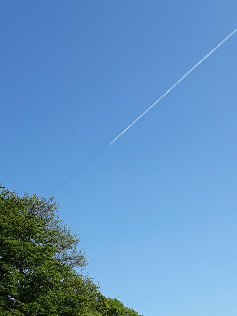 Plane In The Sky, A Plane, Aang, Labyrinth, The Sky, The Sun, Bible, Sun, Plants