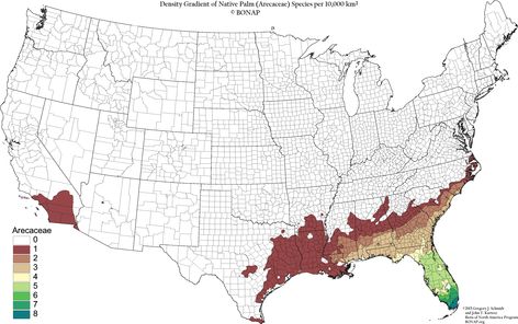 Palms in the United States Weird Maps, American History Timeline, Tree Map, Semitic Languages, Data Map, Geography Map, Social Studies Worksheets, Natural Ecosystem, History Timeline