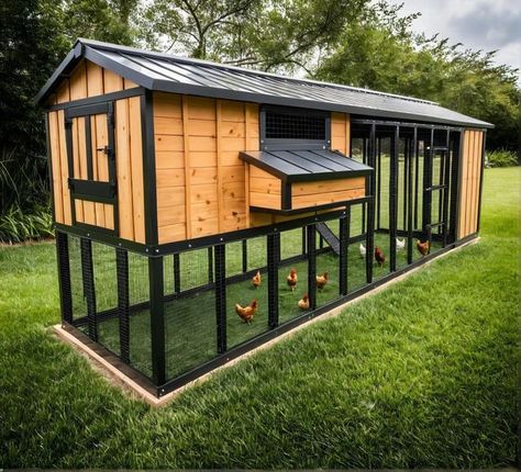 Coop Run, Backyard Chicken Coop, Chicken Coop Garden, Chicken Coup, Chicken Coop Run, Backyard Chicken Farming, Coop Design, Chicken Coop Designs, Coop Plans