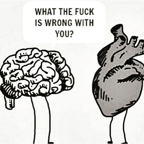 Heart And Brain, Intj Personality, Visual Statements, E Card, Intj, Infj, Bones Funny, The Words, I Laughed