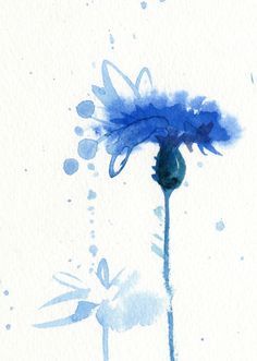 Aquarell Blume Blau Drucken Kornblume von AnellHappyWatercolor Watercolor Flower Prints, Custom Pet Painting, Blue Watercolor Floral, Watercolor Floral Print, Watercolor Blue, Abstract Flower Painting, March 5, Print Painting, Water Colors