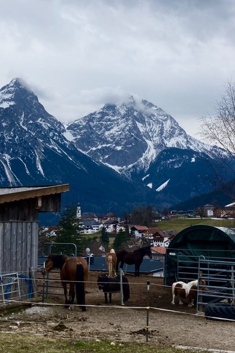 Horses in the Austrian Alps🐎🏔️ House In Switzerland, Austrian Alps, House Aesthetic, Switzerland, Dream House, Horses, Travel, Quick Saves