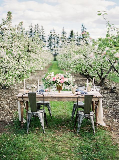 Bright and Colorful Apple Blossom Orchard Wedding Inspiration | Shanell Photography & Mitten Weddings and Events 57 Apple Wedding Decor, Apple Blossom Wedding, Wedding In Orchard, Apple Orchard Wedding Spring, Orchard Wedding Ceremony, Rustic Italian Wedding, Apple Orchard Wedding, Romantic Rustic Wedding, Orchard Wedding