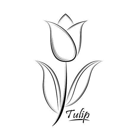 Flower Drawing Outline Sketch, Tulip Flower Tattoo, Black Outline Tattoo, Tulip Outline, فن الرسم بالمسامير, Tulip Drawing, Black Contour, Tulip Tattoo, Easy Flower Drawings