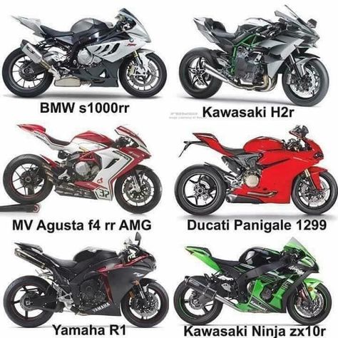 Types Of Motorbikes, Sports Touring Motorcycles, Types Of Motorcycles, Motor Balap, Motos Kawasaki, Ninja Zx10r, Balap Motor, Motocross Love, Motorcycle Tips