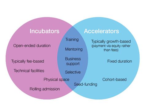 Accelerators Vs Incubators: How to Choose the Right One | MassChallenge Business Incubator Design, Startup Workspace, Business Accelerator, Startup Poster, Startup Infographic, Startup Presentation, Business Marketing Design, Startup Design, Startup Incubator