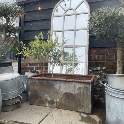 Pair of vintage water troughs 94cm This stunning Pair of vintage water troughs 94cm is a perfect garden addition. These industrial beauties juxtapose soft playful planting. They also make ideal planters for your garden (you may wish to drill some drainage holes for water to escape if you are planting them up outdoors). Parts of the bath are oxidised with rusty marks. The Interior of the trough will show some scaling and oxidisation to the surface. Not all of our baths are completely watertight, Stable Renovation, Galvanized Water Tank, Garden Decking, Interior Design Hallway, Antique Urn, Water Trough, Flat Decor, Reclaimed Wood Dining Table, Pottery Candle