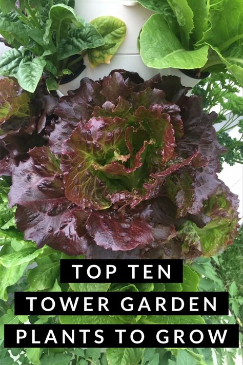 Tower Gardening, Tower Planter, Vegetable Tower Garden, Tower Planter Ideas, Herb Tower, Tower Garden Tomatoes, Garden Tower, Vertical Garden Tower, Grow Tower Garden