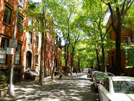 Forest Hills Gardens, Fulton Street, Voyage New York, Brooklyn Brownstone, Brooklyn Bridge Park, Brooklyn Heights, Trellis Design, Prospect Park, Beautiful Streets