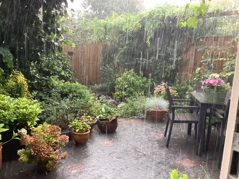 Rainy Backyard, Roslyn Bon Iver, Peaceful Rain, Rain Lover, Rain Aesthetic, Rain Pictures, Spring Showers, Rainy Day Aesthetic, Summer Storm