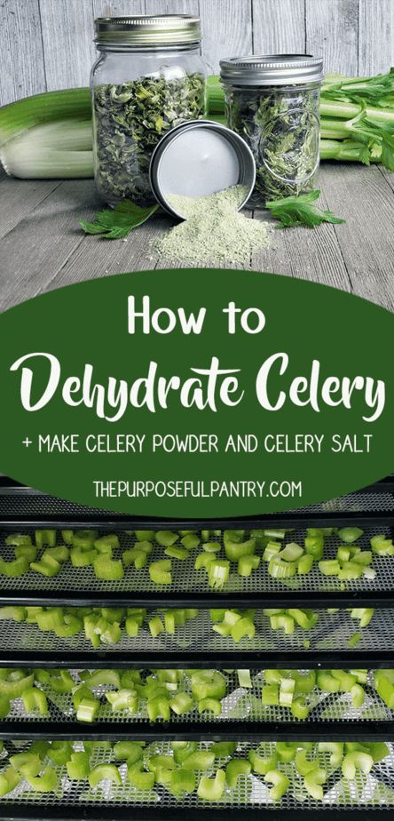 Preserve Celery, Dehydrate Celery, Celery Powder, Dehydrating Food Storage, Stocked Pantry, Food Dehydration, Celery Salt, Dehydrated Vegetables, Dehydrated Fruit