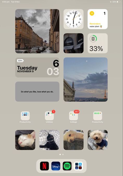 Home Screens For Ipad, Ipad Widget Organization, Ipad Orginazation Homescreen, I Pad Wallpaper Ideas, Widget Layout Ideas Ipad, Ipad Pro Home Screen Layout Aesthetic, Ipad Astethic Homescreen Ideas, Organizing Ipad Home Screen, Ipad Homescreen Ideas Vertical