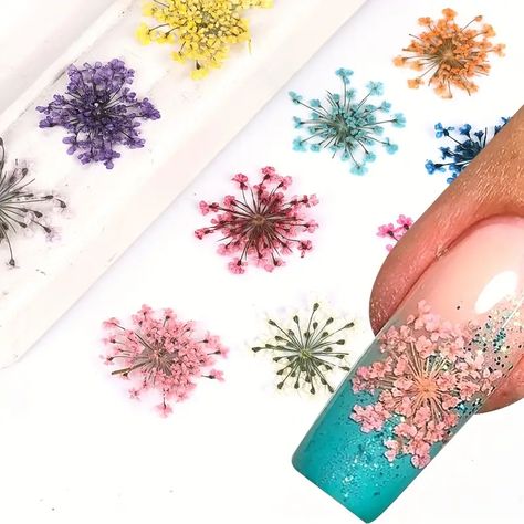 12 Color 3d Dried Flower Nail Art Charms, Dried Flower Sticker Tips For Uv Gel/acrylic Nail Art Design,dried Flower Nail Art Jewelry For Diy Or Nail Salons - Temu Dry Flower Nail Art, Dried Flower Nail Art, Nail Art Charms, Gel Acrylic Nails, Nail Art Jewelry, Flower Nail Designs, Flower Nail, Nail Salons, Flower Nail Art