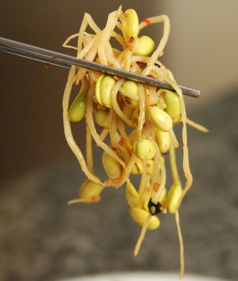 Soy Bean Sprouts Recipes, Sprouted Soybeans, Muchim Recipe, Kongnamul Muchim, Soybean Sprouts, Banchan Recipe, Maangchi Recipes, Korean Food Side Dishes, Bean Sprout Recipes