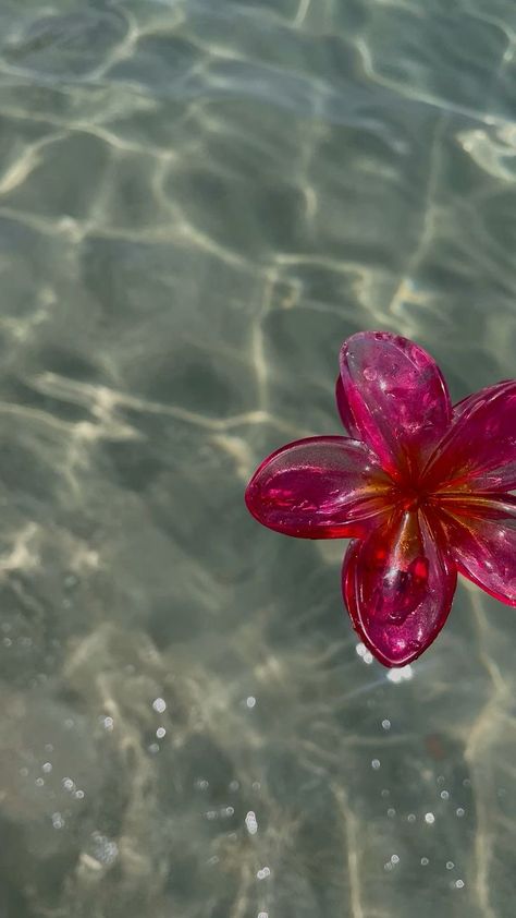 Flower Clip Aesthetic, Hibiscus Flower Arrangement, Hibiscus Aesthetic, Hawaiian Aesthetic, Pretty Backrounds, Hawaiian Hair, Hawaiian Flower Hair, Hawaii Flowers, Hair Clip Flower