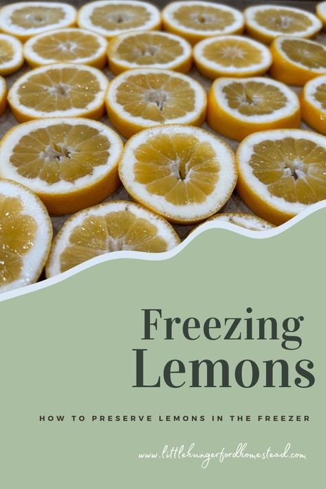 Freezing Lemons, Hot Lemon Water, Frozen Lemon, Get Rid Of Warts, Preserved Lemons, Lemon Rind, Food Saver, Lemon Slice, Lemon Water