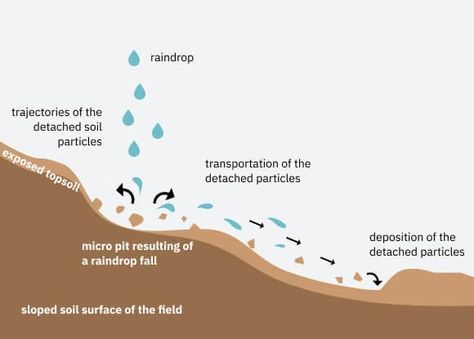 Soil Erosion | Factors Affecting Erosion by Water | Types of Soil Erosion Due to Water   1 Erosion By Water, Soil Erosion, Soil Texture, Geography Lessons, Erosion Control, Water Type, Surface Water, Top Soil, Science Fair