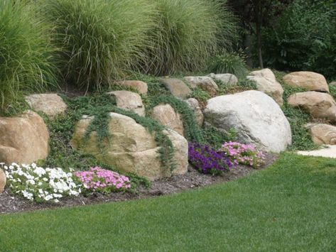 Grassless Landscaping, Rock Wall Landscape, Rock Wall Gardens, Boulder Garden, Boulder Retaining Wall, Landscaping Around House, River Rock Landscaping, Landscaping With Boulders, Landscaping Retaining Walls