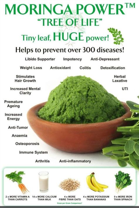 Moringa Benefits, Adventure Seeker, Green Superfood, Healthy Herbs, Herbal Healing, Home Health Remedies, Herbs For Health, Healing Food, Good Health Tips