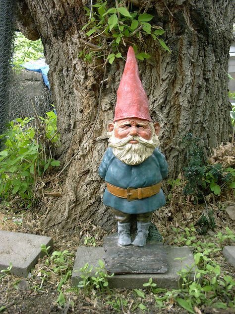 Classic Gnome. rien poortvliet garden gnomes Gnome Ideas, Gnome Statues, Gnomes Diy, Garden Gnomes, Diy Halloween Costume, Garden Crafts Diy, Garden Pottery, Gnome House, Classic Garden