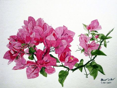 Artists Who Paint Flowers, Watercolor Flowers Tutorial, Art Tutorials Watercolor, Floral Drawing, Framed Botanicals, Cat Air, Watercolor Flowers Paintings, Botanical Watercolor, Floral Artwork