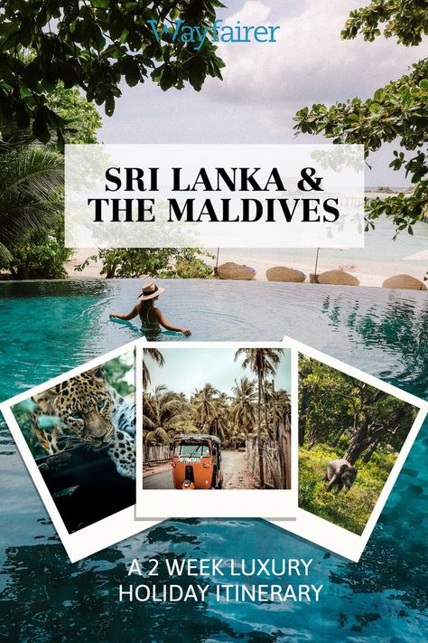 Trip idea: this is a tailormade two week sample itinerary exploring Sri Lanka and the Maldives, staying in 5 star resorts with private flights and unique experiences. #srilanka #maldives #honeymoon #luxurytravel Maldives Itinerary, Japan Honeymoon, Maldives Luxury, Cheap Places To Visit, Perfect Honeymoon, Private Flights, Maldives Honeymoon, Honeymoon Resorts, 5 Star Resorts