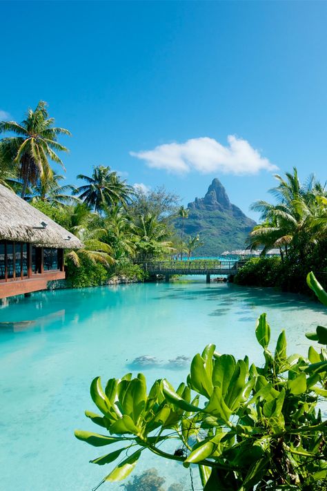 Turquoise waters and vibrant blue skies, a honeymooners paradise... Tahiti Resorts, Bora Bora Island, Luxury Island, Bora Bora Resorts, Visit Maldives, Sea Resort, Most Luxurious Hotels, Exotic Places, Tropical Climate