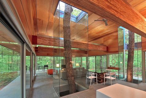 10 Houses Built Around Trees Glass Walls, Patio Interior, Design Del Prodotto, Natural Home Decor, Cool Ideas, Style At Home, Decor Rustic, Interior Architecture Design, My Dream Home