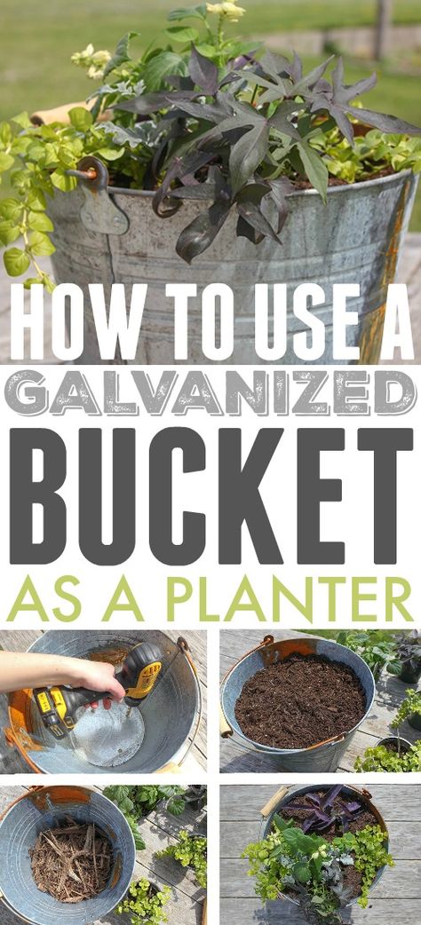 Using Galvanized Containers as Planters Galvanized Containers, Gemüseanbau In Kübeln, Galvanized Planters, Galvanized Tub, Galvanized Buckets, Garden Works, Backyard Diy, Cactus Decor, Home Vegetable Garden