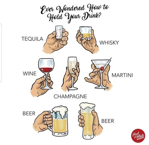 Just In case you have ever wondered how to hold your drink properly....I just normally have the bottle hahah Wine Etiquette, Champagne Martini, Etiquette And Manners, Champagne Party, Drinking Quotes, Wine Food Pairing, Drink Wine, Bottle Shop, Food Pairings