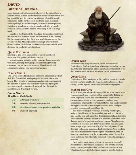 Druids Dnd, Dnd Guide, Dnd Archetypes, Dnd Builds, Druid Circle, Dnd Subclasses, Homebrew Classes, Ranger Dnd, Dungeons And Dragons Rules