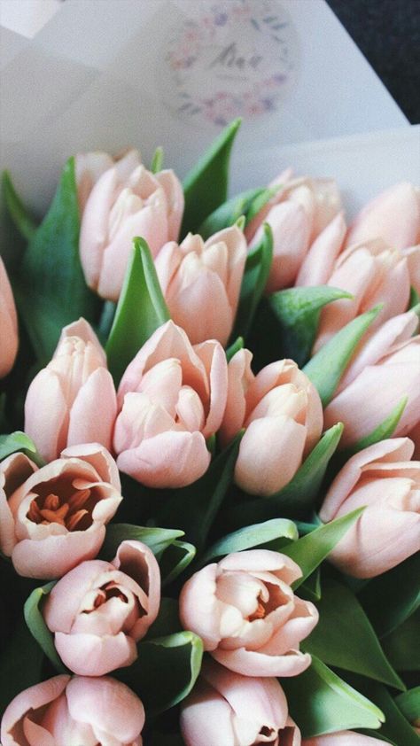 Frühling Wallpaper, Fashion Outfits Dresses, Outfits Dresses, Tapeta Pro Iphone, Spring Aesthetic, Flower Phone Wallpaper, Beautiful Flowers Pictures, Pink Tulips, Flowers Nature