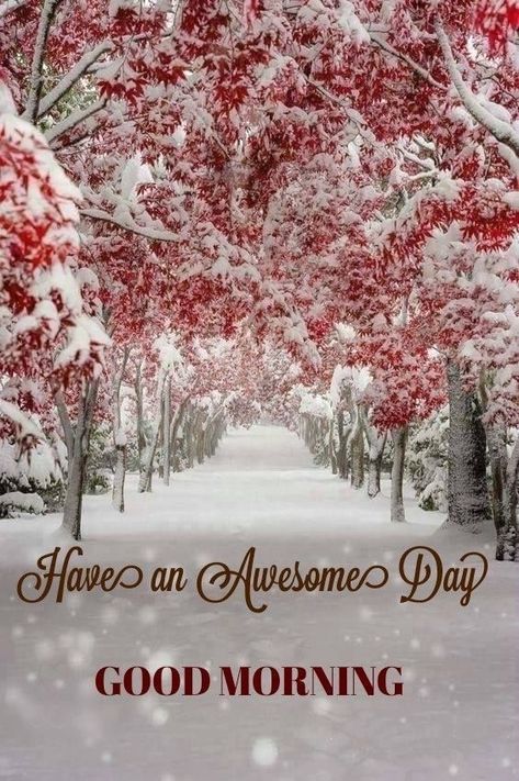 Good Morning For Friends, Hi Wallpaper, Bilingual Humor, Encouragement Box, Winter Good Morning, Morning Encouragement, Live Gif, Morning Hugs, Good Morning Christmas