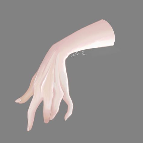 Female Hand Reference, Drawing Female, Semi Realistic, Hand Reference, Drawing Reference