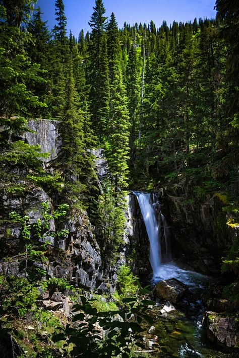 4. Char Falls and Wellington Creek Falls Sandpoint Idaho, Idaho Scenery, Burgdorf Hot Springs Idaho, Idaho Panhandle National Forest, Highway Of Waterfalls Oregon, Snake River Idaho, Falls Creek, Oregon Waterfalls, Waterfall Adventure