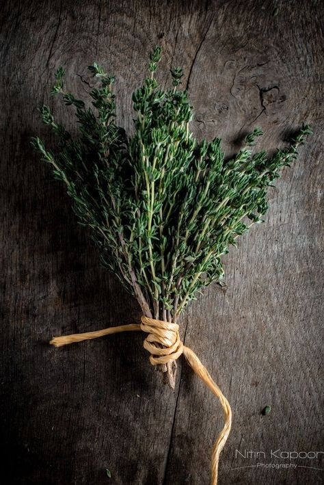 Thyme Photography, Herbs Photography, Herb Photography, Spices Photography, Thyme Plant, Herb Art, Dark Food Photography, Food Photography Inspiration, Fruit Photography