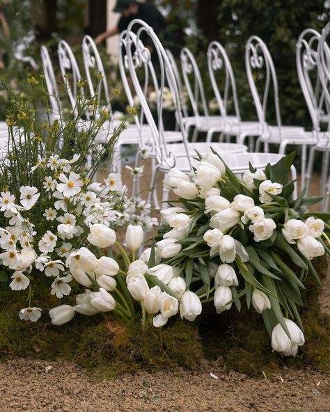 A tulip spill reeeaaalllyyy makes my heart sing 🥹 Tulip Wedding Theme, White Tulip Wedding, Hanging Tulips, Isle Flowers, Wedding Tulips, 2025 Bride, Alter Flowers, Aisle Markers, Wedding Isles