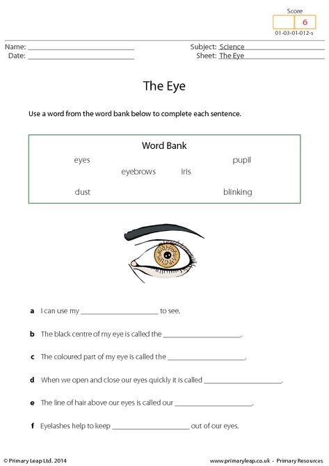 Dolch Sight Words Kindergarten, Parts Of An Eye, Phonics Reading Passages, Parts Of The Eye, Dolch Sight Words, Free Kindergarten Worksheets, Sight Word Worksheets, Six Words, Sight Words Kindergarten