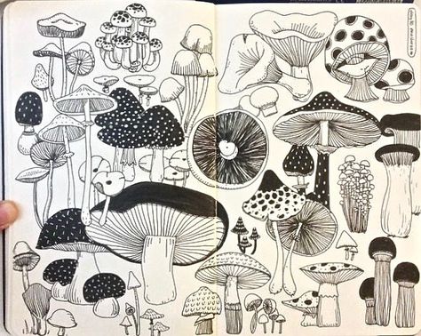 Artist Moodboard, Cer Nocturn, Moleskine Art, Mushroom Drawing, Cat Air, Arte Sketchbook, Mushroom Art, Sketchbook Journaling, Sketchbook Inspiration