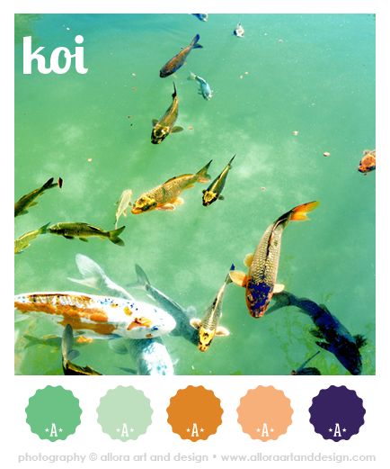 koi | color palette :::::::::::::::::::::::::::::::::::::::::::::::: #alloraartanddesign #color #colorpalette #colorscheme #koi #belleisle #michigan #koipond #fish #water #green Koi Pond Color Palette, Koi Fish Color Palette, Nomad Furniture, Graphic Design Theme, Fishing Booth, Koi Fish Colors, Koi Fish Pond, Design Theme, Creative Colour