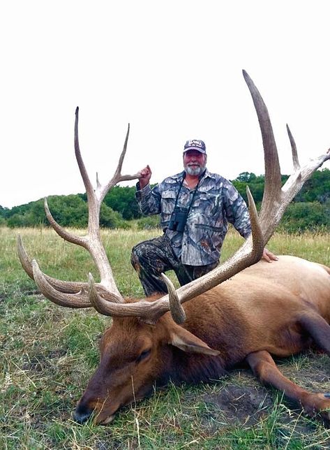 Unmatched Colorado Trophy Hunts Archery Elk Hunting, Elk Hunting Tips, Caribou Hunting, High Fence, Western Hunting, Elk Pictures, Bull Elk, Trophy Hunting, Elk Hunting