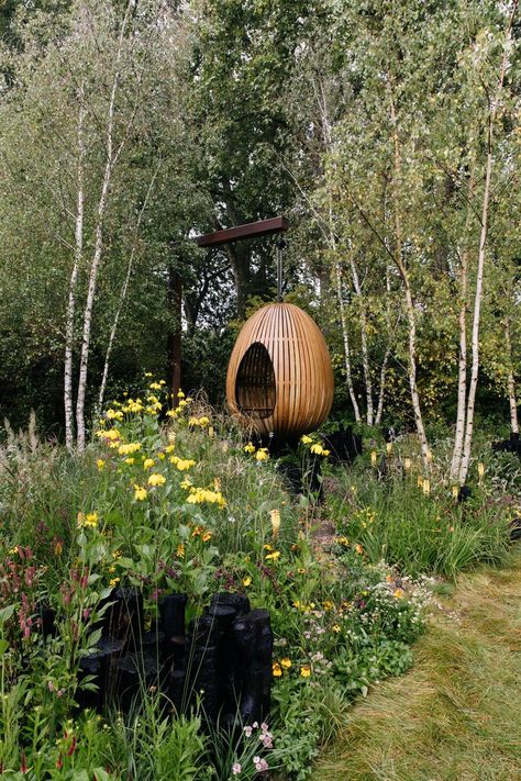 Chelsea in depth: exploring Tom Massey's medal-winning Yeo Valley garden Tom Massey, Mini Meadow, Silver Birch, Golden Flower, Birch Trees, Soil Improvement, City Garden, Yellow Tones, Country Garden